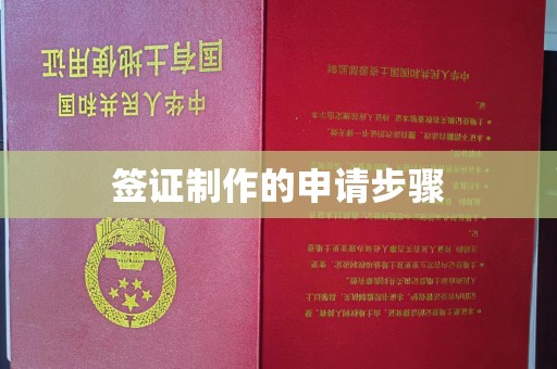 蒲县签证制作的申请步骤